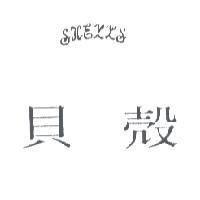 貝殼及 SHELLS 圖