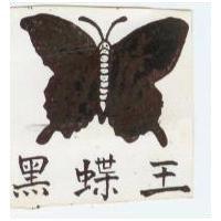 黑蝶王
