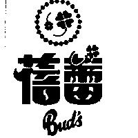 蓓蕾