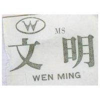 文明 WEN MING RA – CB 及圖