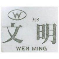 文明 WEN MING MS 及圖