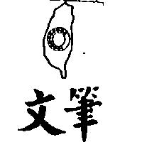 文筆及圖