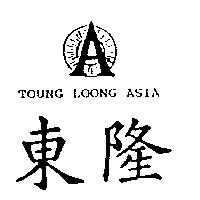 東隆及圖 TOUNG LOONG ASIA