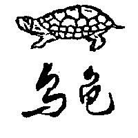 烏龜