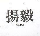 揚毅 TLMX