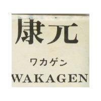 康元 WAKAGEN ワカゲン