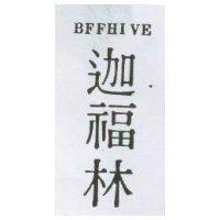 迦福林 BFFHIVE