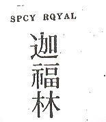 迦福林 SPCY RQYAL
