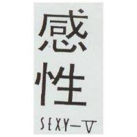 感性 SEXY-V
