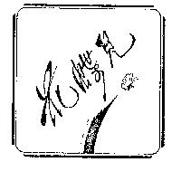 花蝶兒及圖