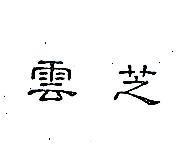 雲芝