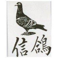 信鴿及圖