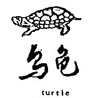 烏龜及圖 TURTLE