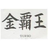 金霸王 TURBO