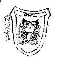 猫頭鷹 OWL 及圖