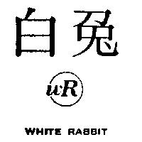 白兔及圖 WHITE RABBIT