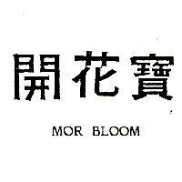 開花寶 MOR BLOOM