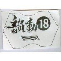 韻動及圖 INNOSPORT 18