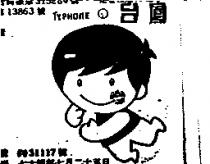 台鳳 TYPHONE 及圖