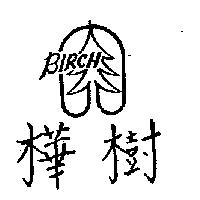 樺樹及圖 BIRCH