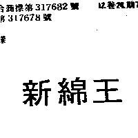 新綿王