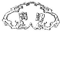 寶津及圖