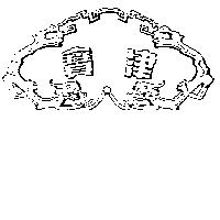 寶津及圖