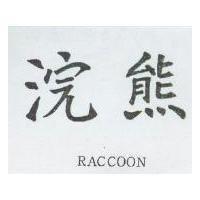 浣熊 RACCOON