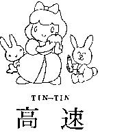 高速及圖 TIN – TIN