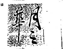 月之華
