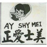 正愛士美及圖 AASB