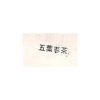 五葉蔘茶