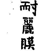 耐麗膜