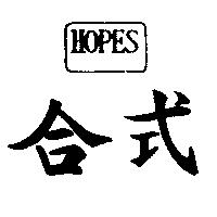 合式 HOPES 及圖