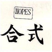 合式及圖 HOPES