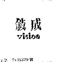 成敘及圖 VISION
