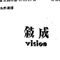 成敘及圖 VISION