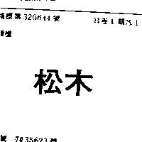 松木