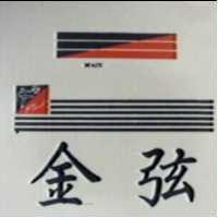金弦及圖 MAIY