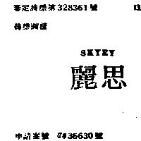 麗思 SKYEY