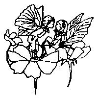 花蝶仙子圖