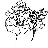 花蝶仙子圖