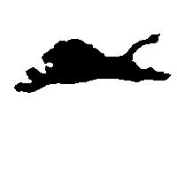 飛獅圖