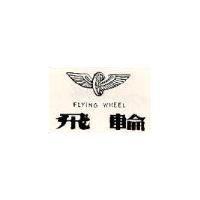 飛輪及圖 FLYING WHEEL