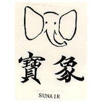 寶象及圖 SUNAIR
