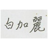 白加麗牌