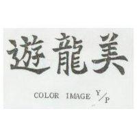 遊龍美 COLOR IMAGE Y/P