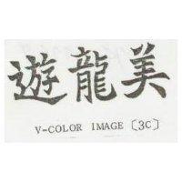 遊龍美 V-COLOR IMAGE 〔 3C 〕