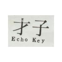 才子 Echo Key