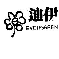 迪伊及圖 EVERGREEN